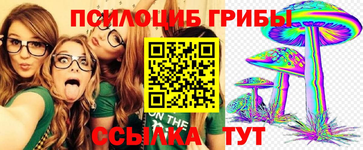 Кубинка  Галлюциногенные грибы Psilocybe  Вход с VPN 