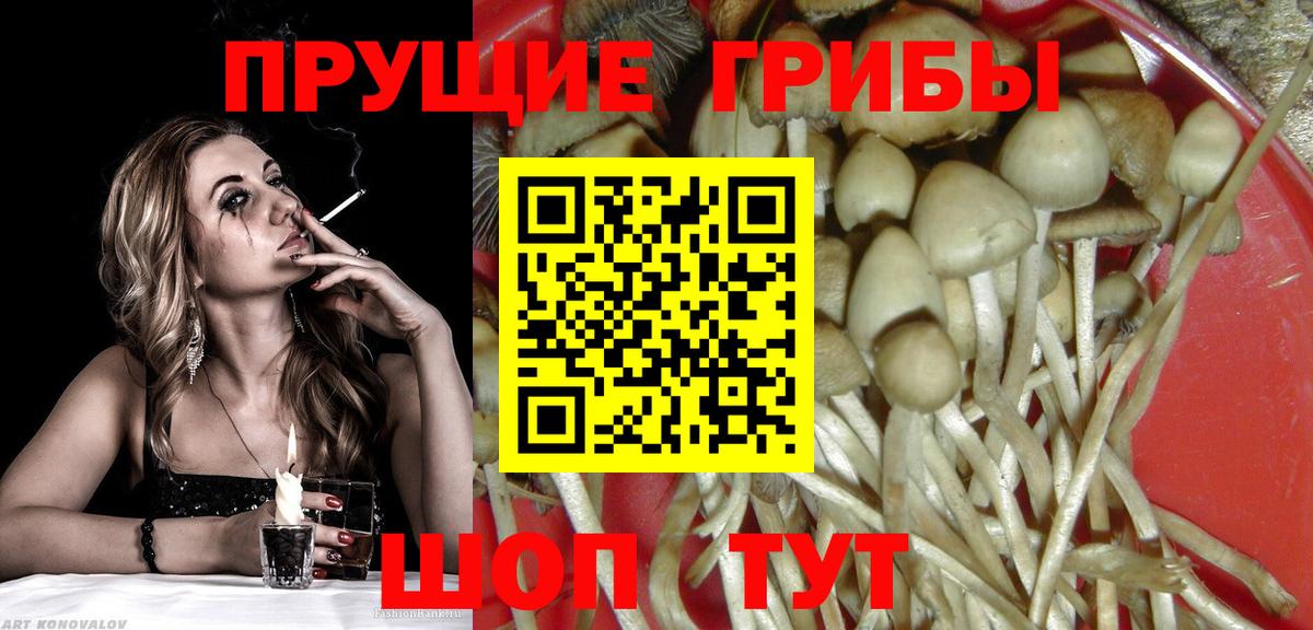 Псилоцибиновые грибы MAGIC MUSHROOMS Кубинка